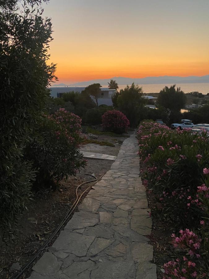 Iliopetra Studios Chrisi Akti  Bagian luar foto