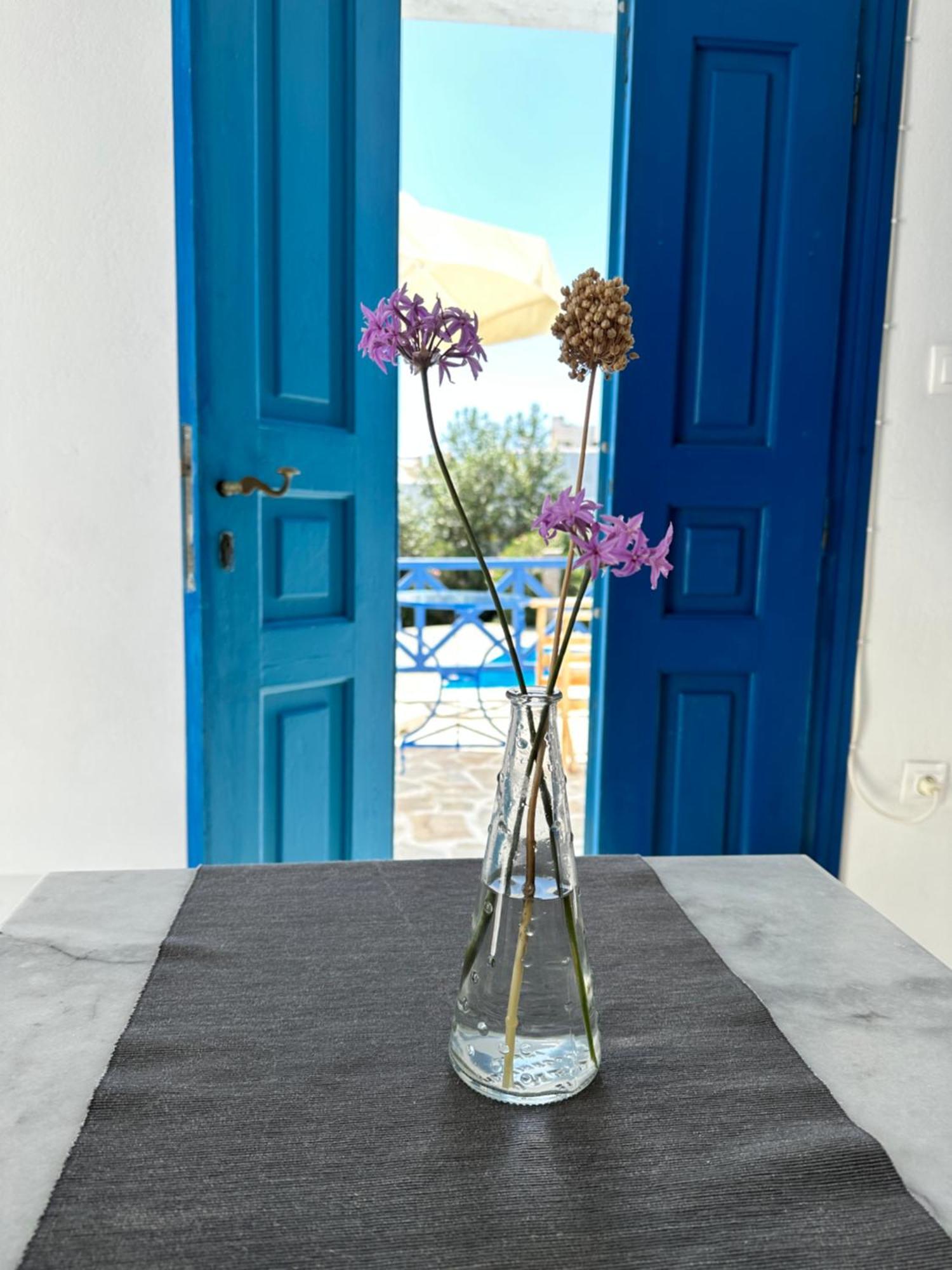 Iliopetra Studios Chrisi Akti  Bagian luar foto