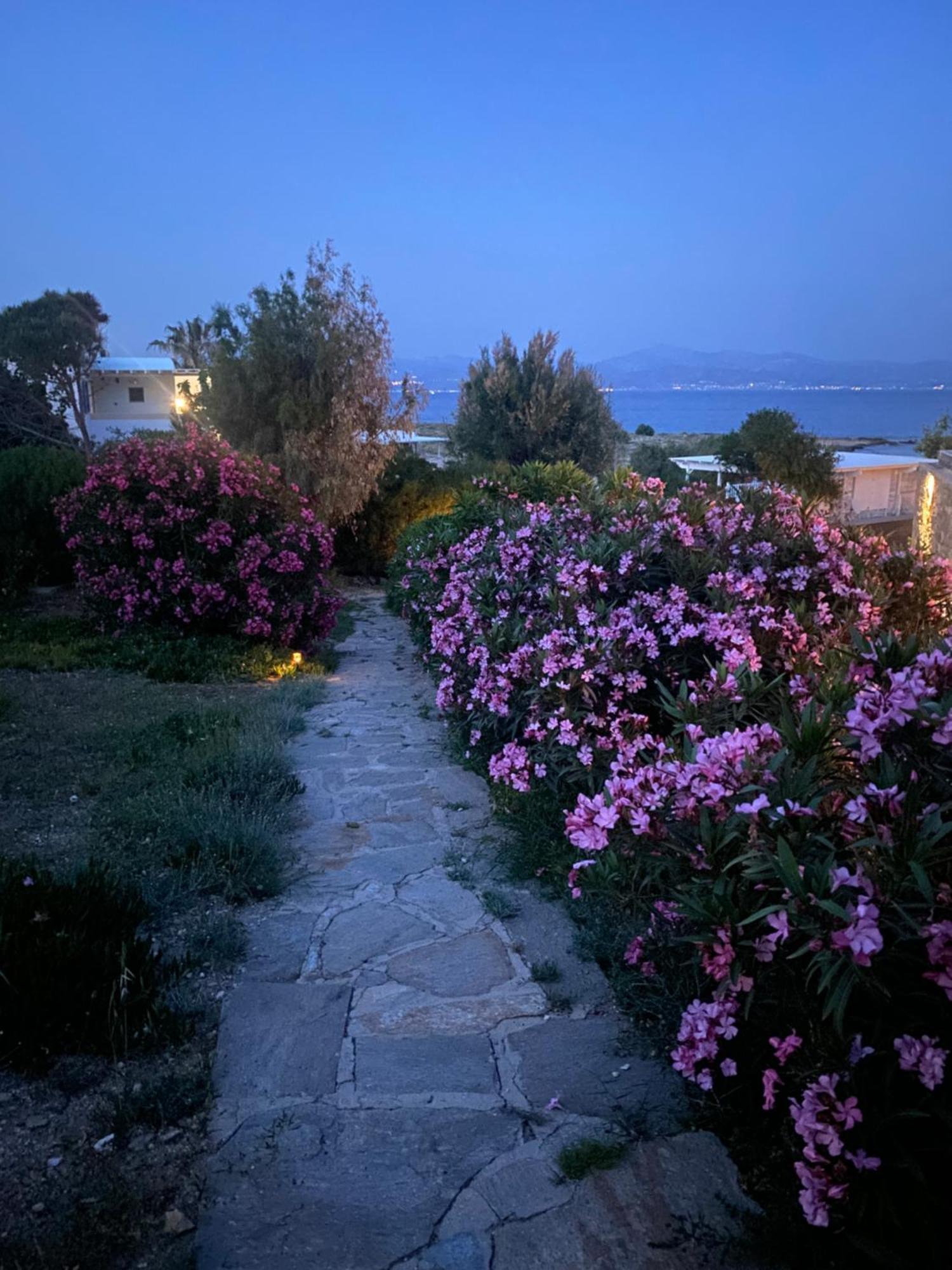 Iliopetra Studios Chrisi Akti  Bagian luar foto