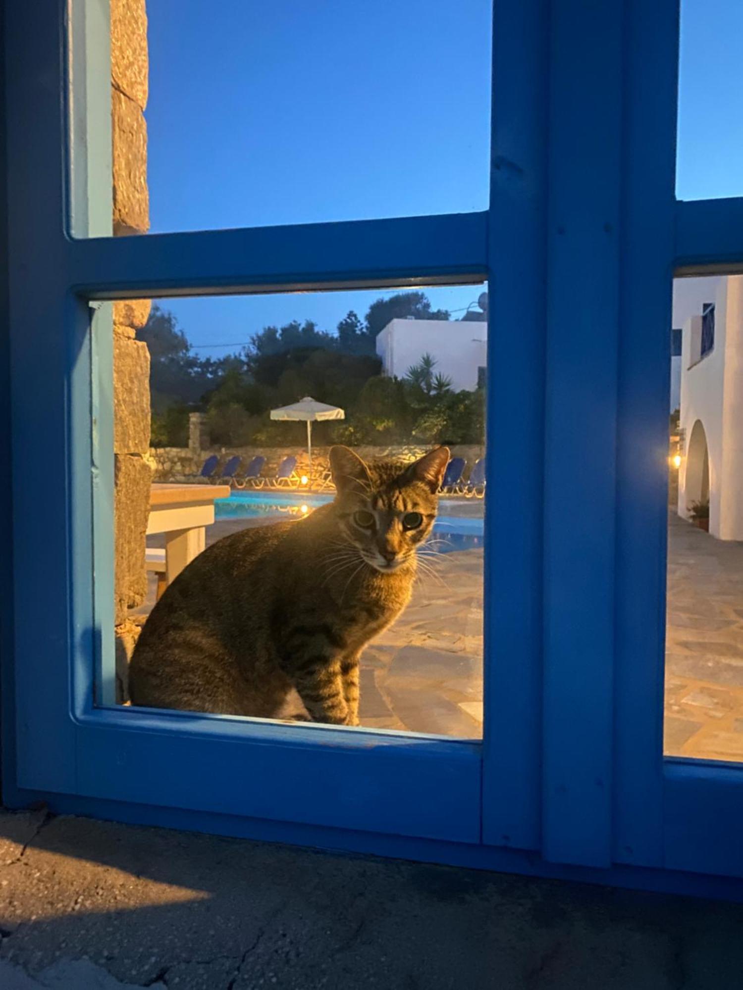 Iliopetra Studios Chrisi Akti  Bagian luar foto