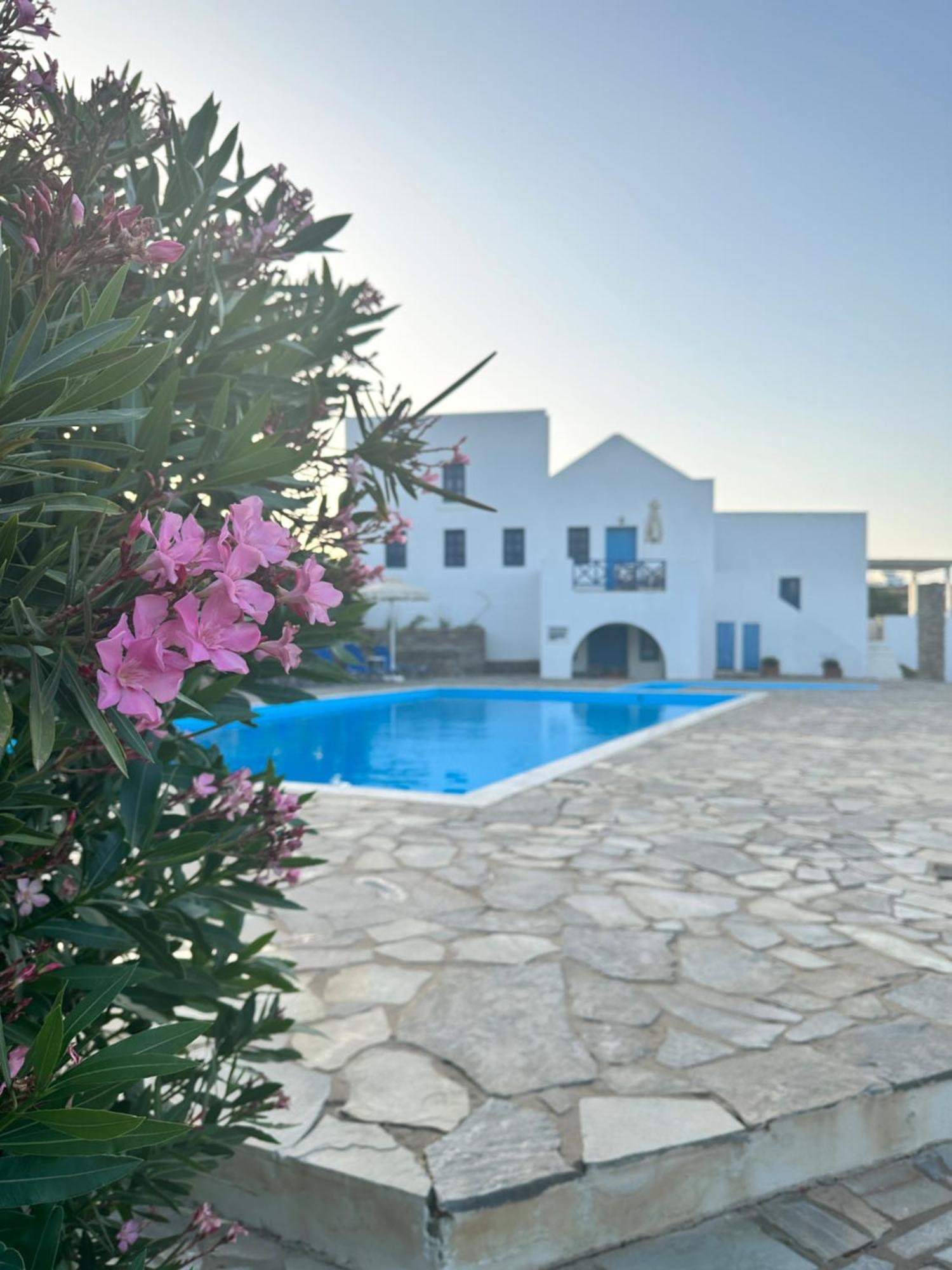 Iliopetra Studios Chrisi Akti  Bagian luar foto