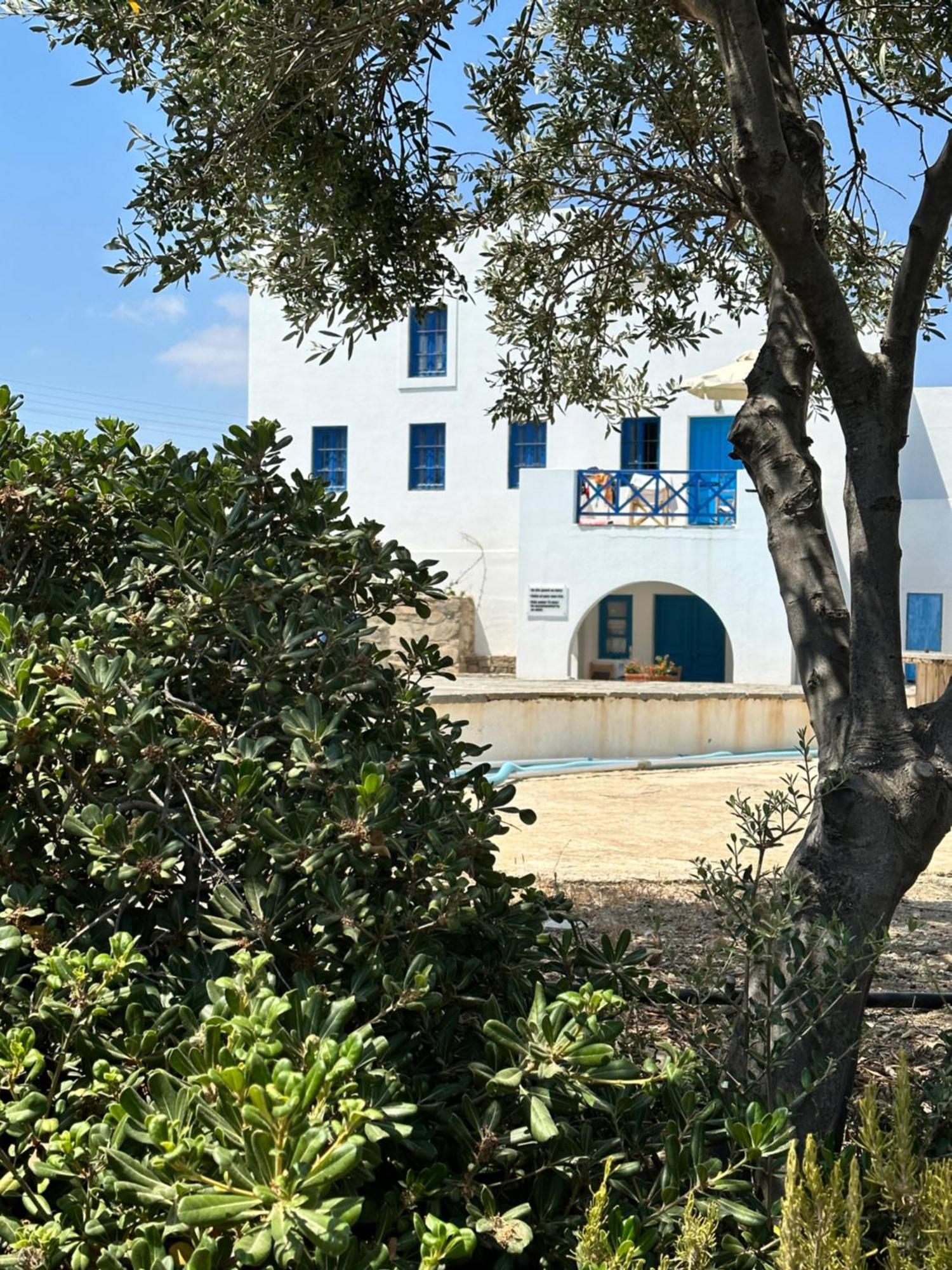 Iliopetra Studios Chrisi Akti  Bagian luar foto